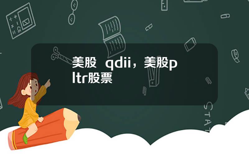 美股  qdii，美股pltr股票